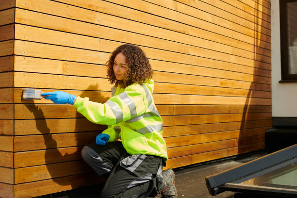 Professional Siding in Nokesville, VA